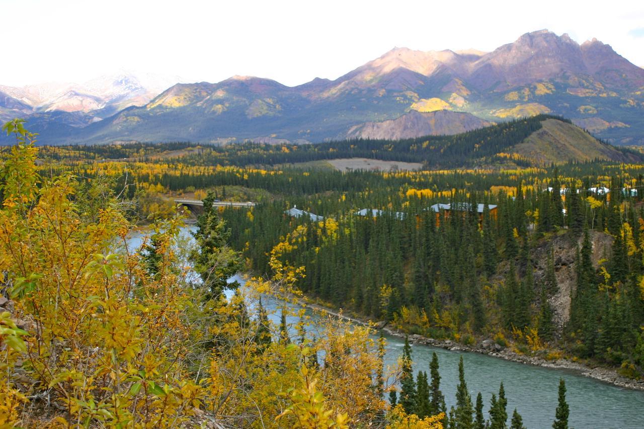 Denali Grizzly Bear Resort Denali Park Экстерьер фото