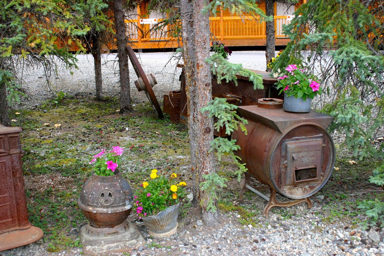 Denali Grizzly Bear Resort Denali Park Экстерьер фото