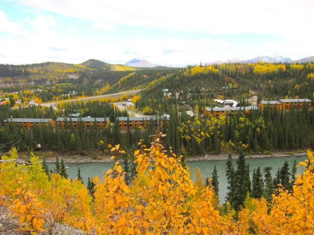 Denali Grizzly Bear Resort Denali Park Экстерьер фото